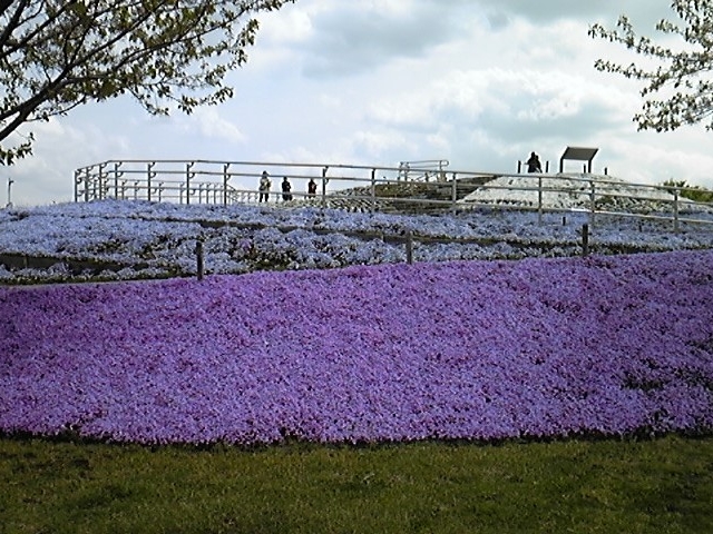 �O������E�W�]��̎ō�_�_�ސ쌧�����͎O�����