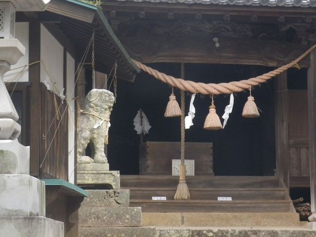 �_�Ћ���_�j�_�_��