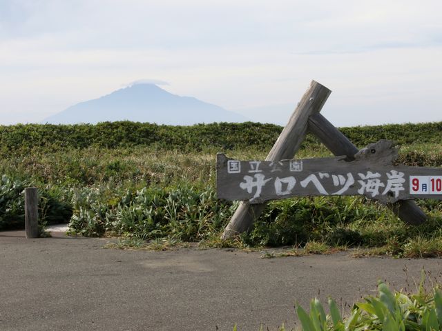 �I���������C�������̃T���x�c_�T���x�c����