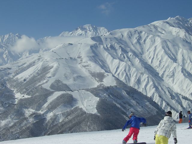 ������Ɍ����锪�������X�L�[��_���n��x�X�L�[��