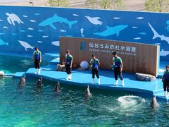 JUVE̐䂤݂̓mقւ̓eʐ^1