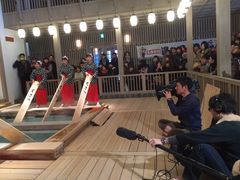 �M�T���̎ʐ^1