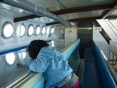 ひろさんの海底観光グラスボートの投稿写真3