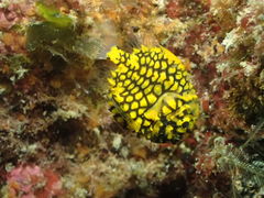 悵̃_CrOVbvMIUւ̓eʐ^1