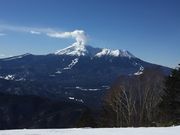 ȂבY̖ؑ]XL[̓eʐ^4