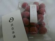 �O���b�`�F������̓��g�{�� ���싽�X�̓��e�ʐ^1