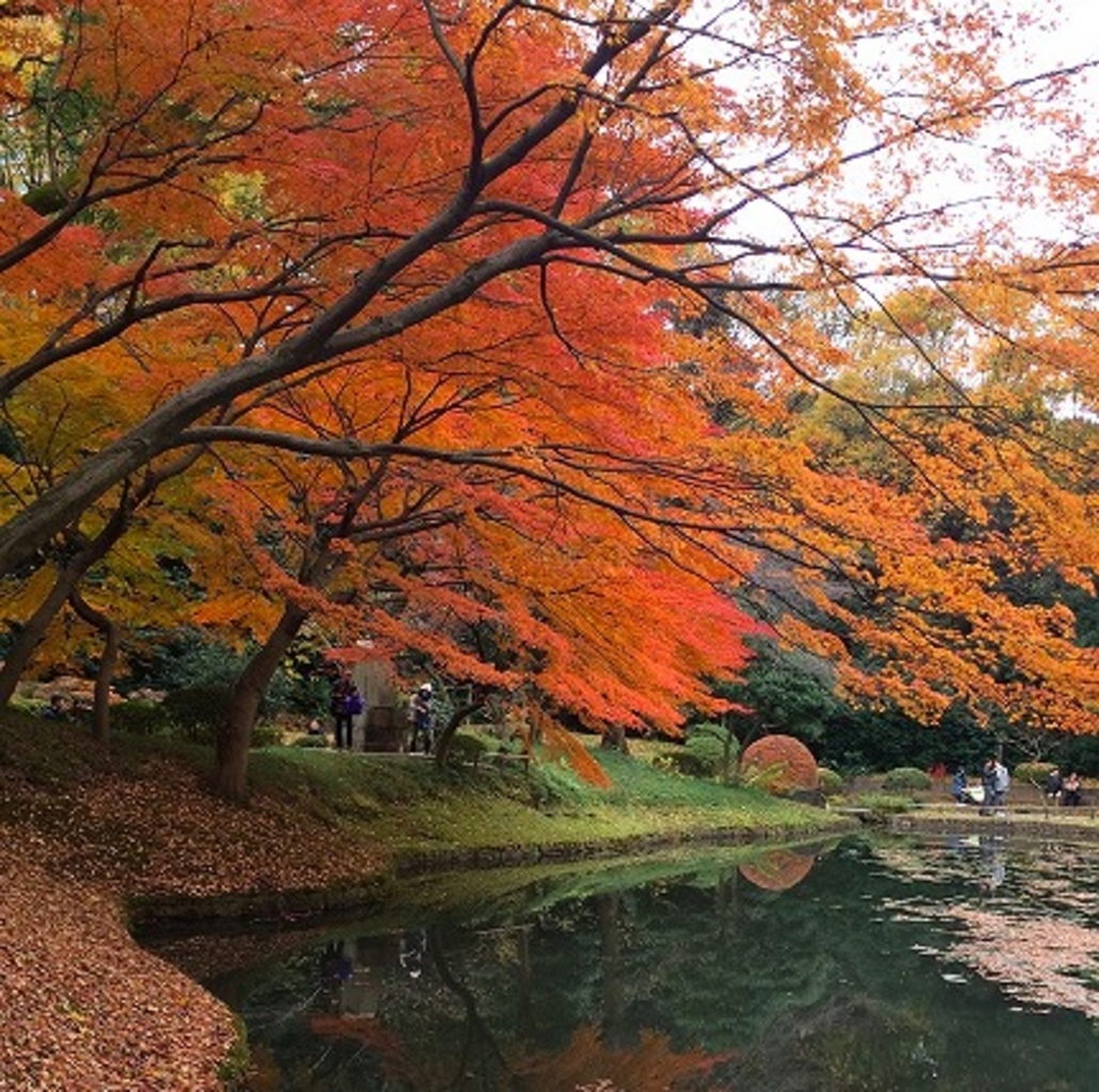 小石川後楽園