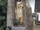 わしやんさんの諦應寺の銀杏仏の投稿写真1