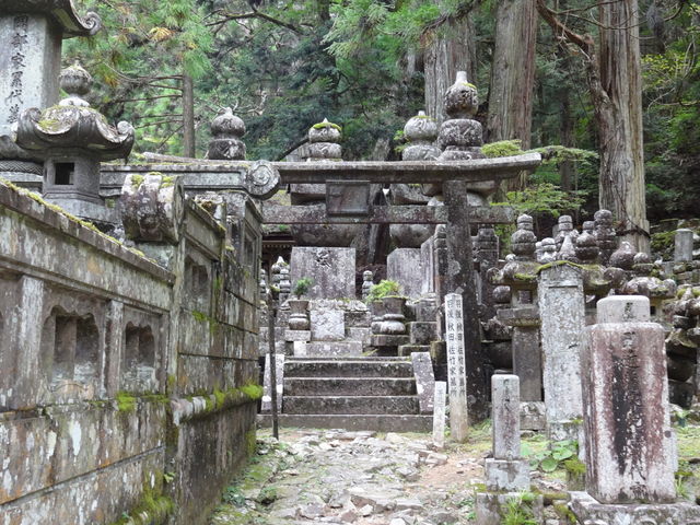 ǁ[̉HHc|Ƃ̓̕eʐ^1