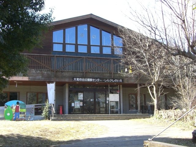 gV[̑ãVJVт̓eʐ^1