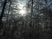 ܂悦肳̏CGbNXEXL[o[̓eʐ^1