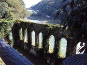 ނ炳񂳂̒̑̓eʐ^4