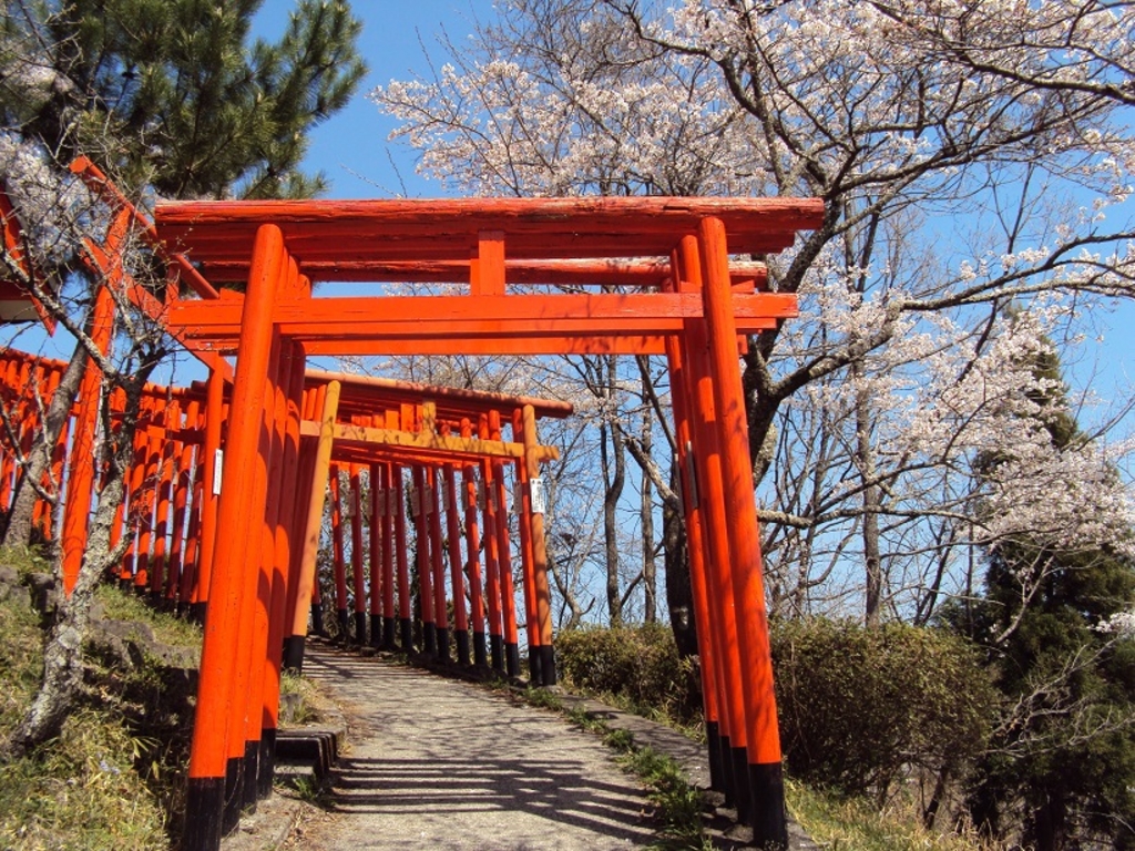 大分の神社 神宮 寺院ランキングtop10 じゃらんnet