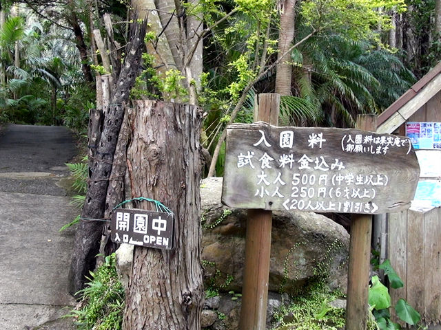 �������͑�l500�~�A���l250�~�B�t���[�c���H�t���ł��B_���v���t���[�c�K�[�f���i�p�p�C���̗��j