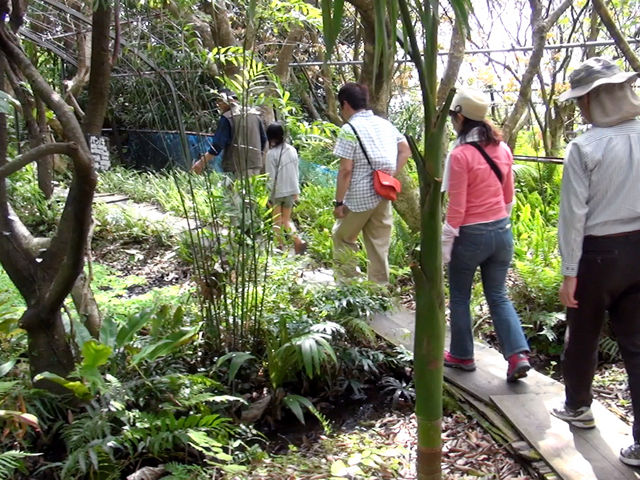 �W�����O���̂悤�ȉ������K�C�h�̂�������񂪈ē����Ă���܂��B_���v���t���[�c�K�[�f���i�p�p�C���̗��j