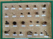 neko܂̏쑺X̑̌ق̓eʐ^2