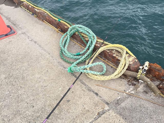 �E�L�ނ肩�����ނ肪�I�ׂ܂��B_�C�ނ�̌��������^���ފƁy�܂�ւ��V�ё��z�b��t�F�C�ӂ̏����Ȃ��h �܂�ւ����h