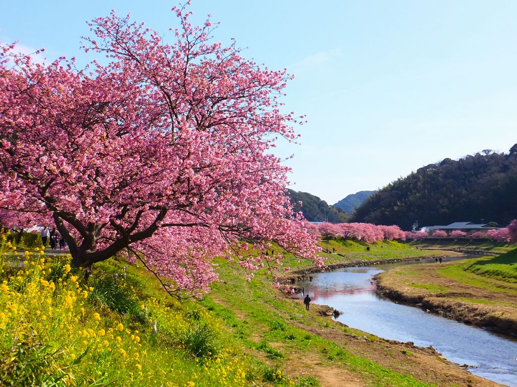 下賀茂温泉 【静岡県】