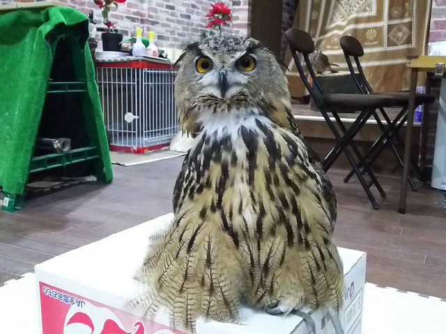 xKV~~YÑ}[Y
ŔłB_ӂ낤JtFO{qX