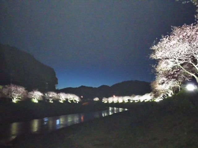 ��ʎВc�@�l��ɓ����ό�����