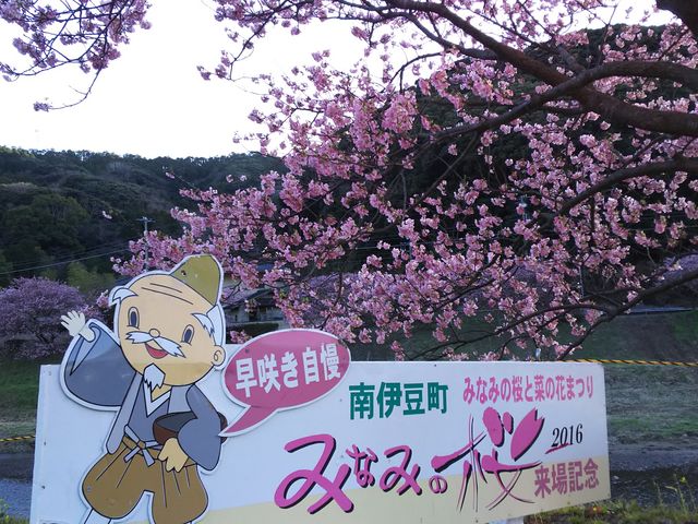 ��ʎВc�@�l��ɓ����ό�����