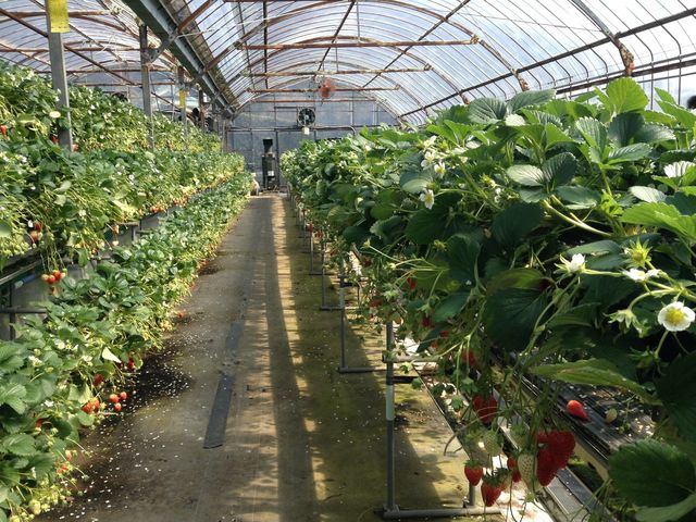 1 of the 3 sections_ǒ