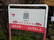 PPfamilŷ ܂̓eʐ^2