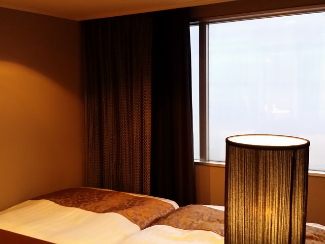 �����̗l�q_�z�e���G�s�i�[���ߐ{