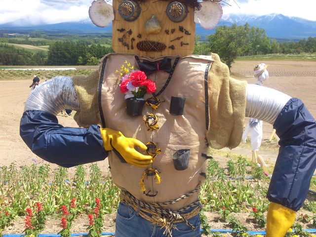 �������Ɉ�ۂɎc�������̂P_�[�R���W�]��