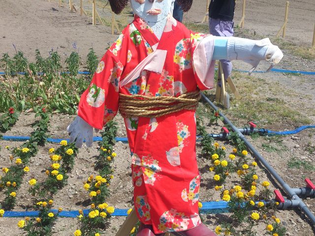 ��ۂɎc�����Q_�[�R���W�]��