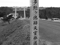 �ۂ񂷂�����̂���ٓV�ւ̓��e�ʐ^1