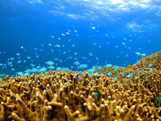 ����Ȋ����ł����B�a�͎T�����肵�܂���B�����ŉ��𗧂Ă�Ɗ���Ă��Ėʔ����ł��B_�_�C�r���O�V���b�v�@�l�o�[�����h