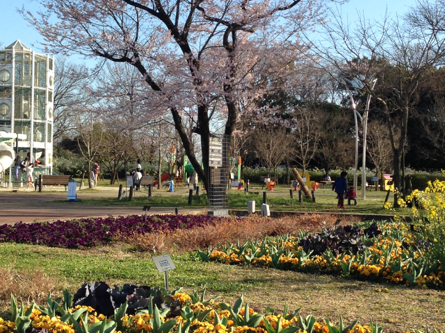 �t�����[�p�[�N�]��