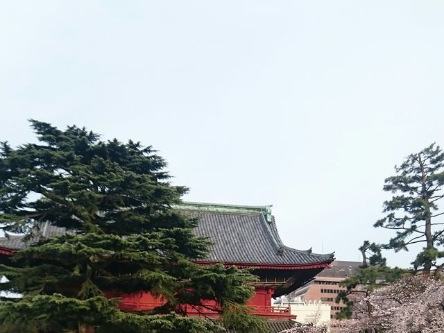 ���㎛ �����������B�e_�Ō����y�ё��㎛�����̍�