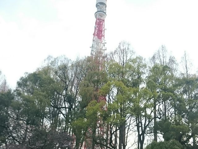 �Ō��� �L�ꂩ�瓌���^���[���B�e_�Ō����y�ё��㎛�����̍�