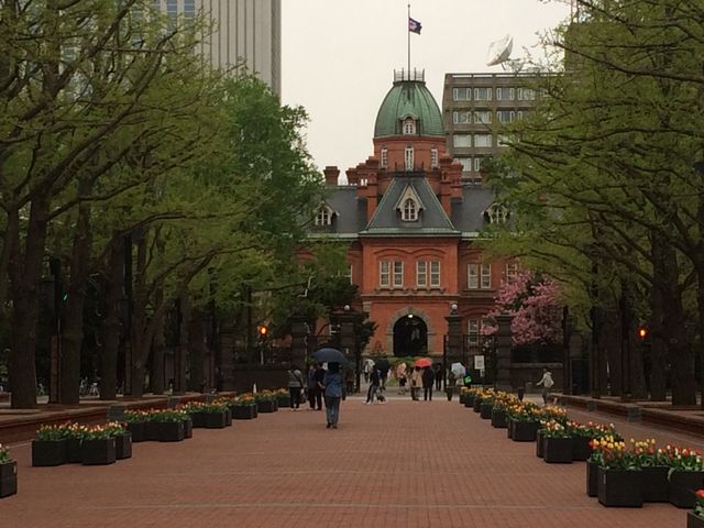 �k�C�������{����(�Ԃ�񂪒���)