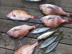 rie̊Cޖx@ނ̓Cւ̓eʐ^1