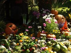 䂸}jAȍ oN CObV K[fւ̓eʐ^1