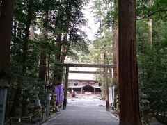 �֑�_�Ђ̎ʐ^1