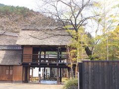 totoro̐ꉷ@Ԃ̌򓒏h@Iւ̓eʐ^1