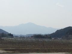 totoro̐ꉷ@Ԃ̌򓒏h@Iւ̓eʐ^2