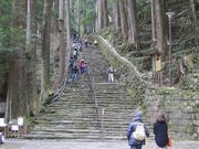 mimi̓ߒq̑iߒqj̓eʐ^1