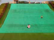 e񂳂̎slG̐X̓eʐ^1