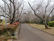 mimi����̓V�P������̍��̓��e�ʐ^2