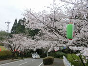 mimi����̓V�P������̍��̓��e�ʐ^3