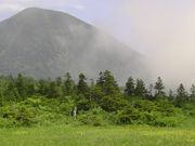 Ȃ񂳂̔bcA̐V΂̓eʐ^1