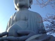 j~j̕z܂̑啧̓eʐ^1