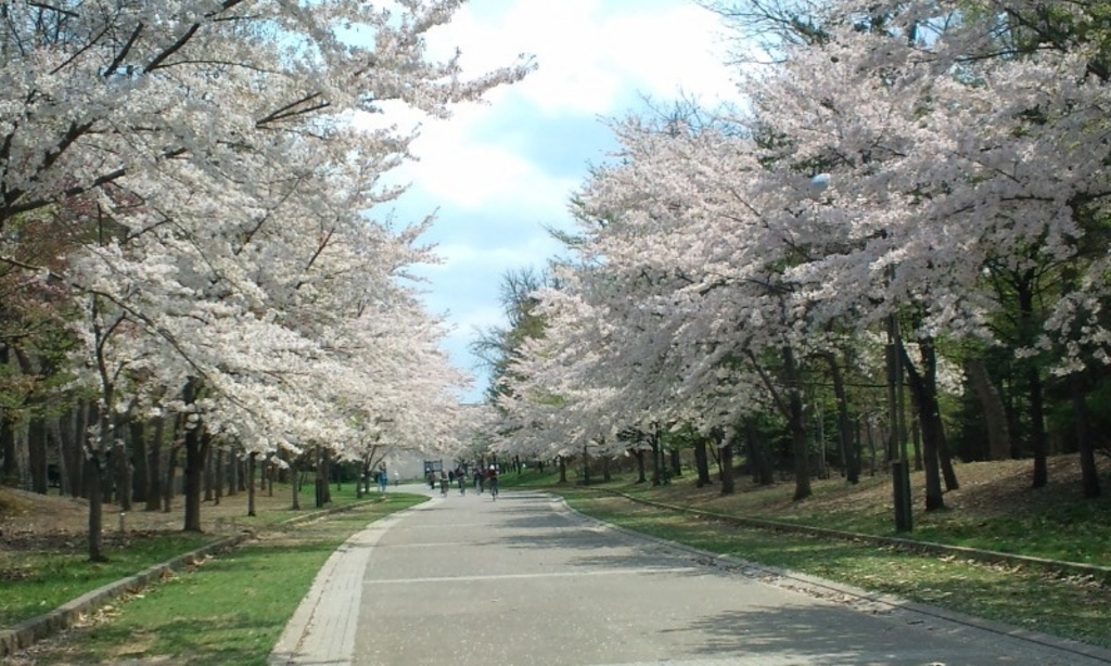 中島公園 アクセス 営業時間 料金情報 じゃらんnet