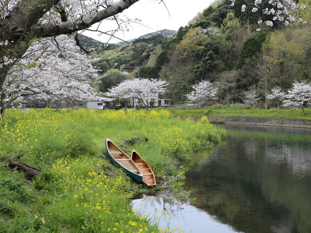 �߉��ł��B_�߉��E��Ȑ�