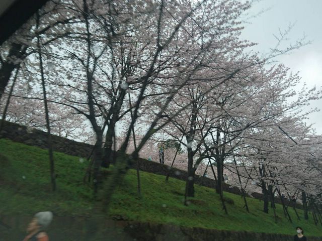 ���i�Α`���̍�